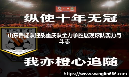bsports必一体育