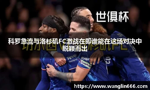 必一运动bsport体育
