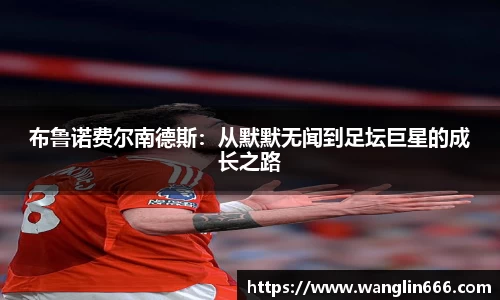 必一运动bsport体育