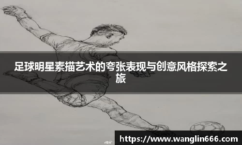 必一运动bsport体育